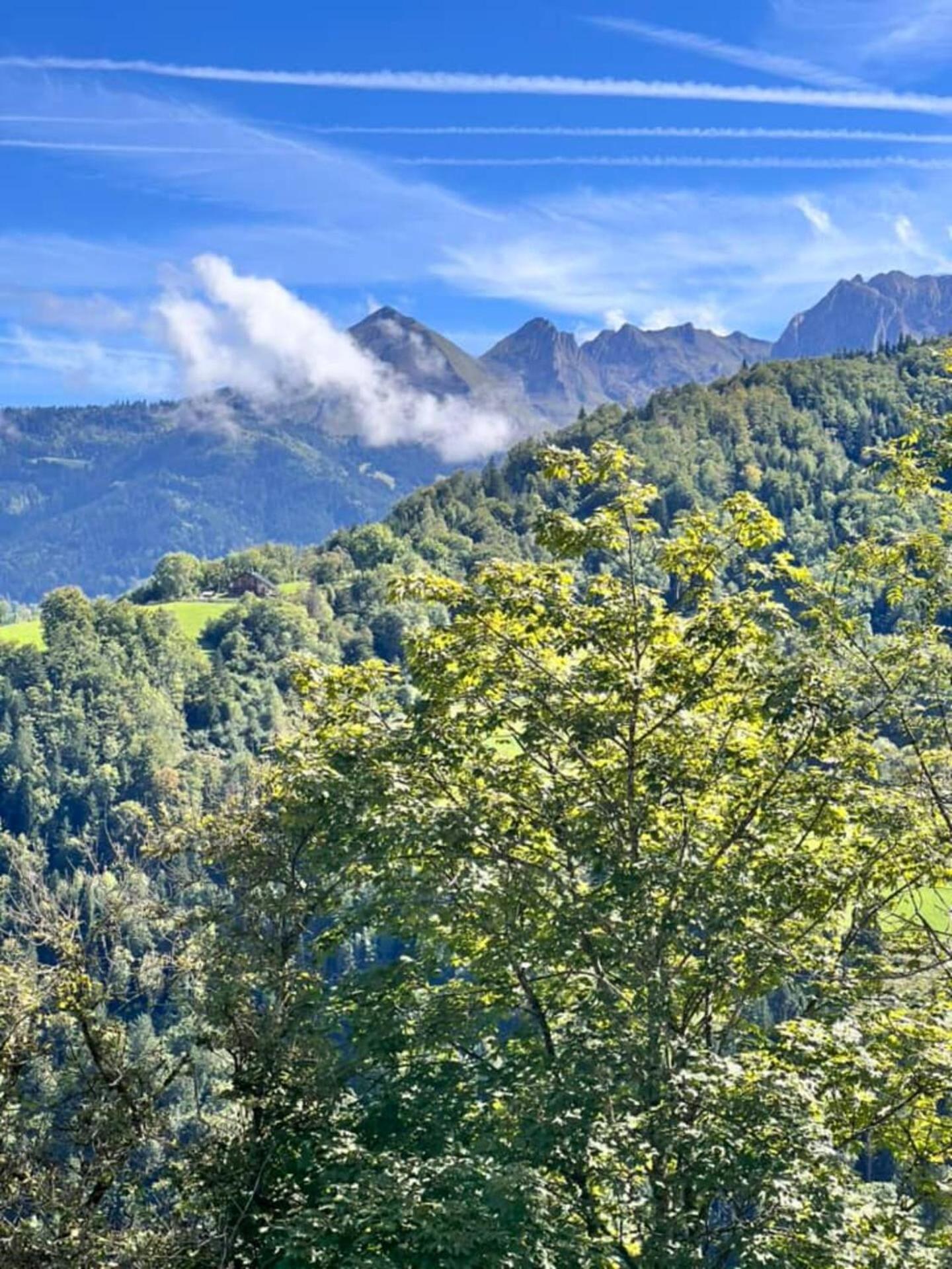 Charming Family Chalet For 8 People, With Private Hot Tub Les Clefs Buitenkant foto